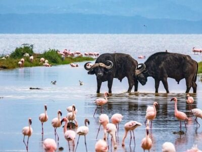 Lake-Nakuru-National-Park-Melman-Safaris Lake-Nakuru-National-Park-Melman-Safaris