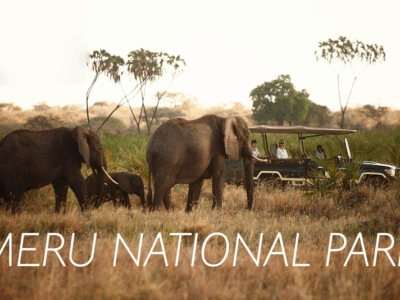Meru-National-Park_1