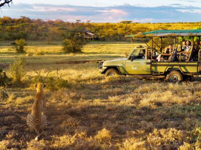Naboisho Conservancy_Melman Safaris Naboisho Conservancy_Melman Safaris